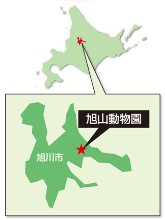 旭山動物園の地図