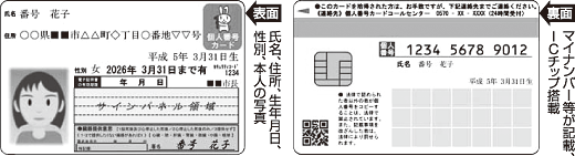 図1